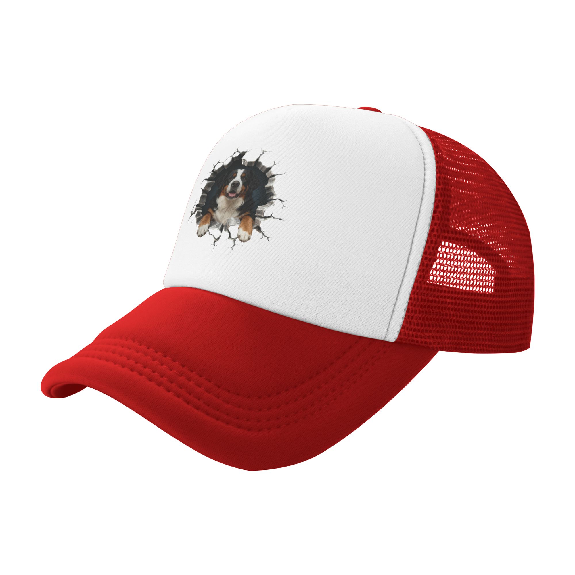 Bernese Dağ Köpeği Kamyon Şofö - Trucker Hat Cap incelemesi ve fiyatı