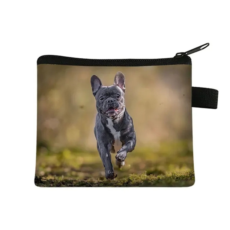 Sevimli Çiçek Bulldog Baskı bo - Men Fashion Kids incelemesi ve fiyatı