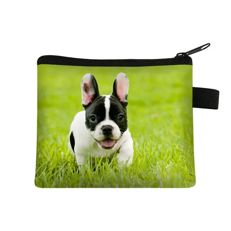 Sevimli Çiçek Bulldog Baskı bo - Men Fashion Kids incelemesi ve fiyatı