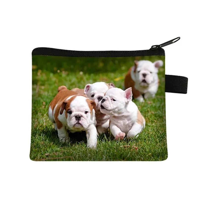 Sevimli Çiçek Bulldog Baskı bo - Men Fashion Kids incelemesi ve fiyatı